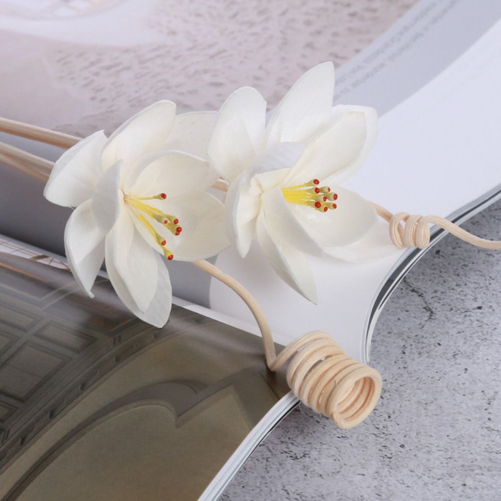 Home Fragrance Diffuser Sticks - Многофункциональные ароматические палочки из натуральных цветов